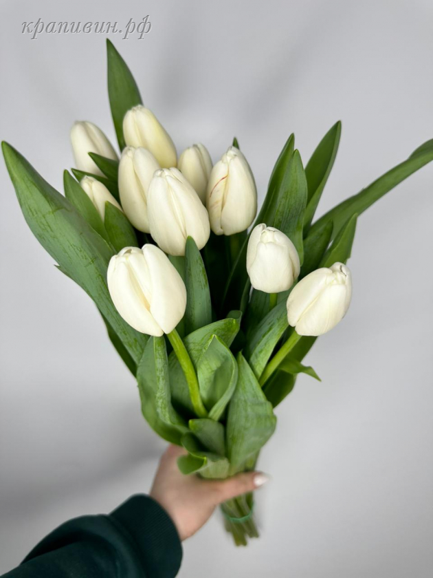 тюльпан сноуборд