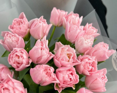 тюльпаны оптом в екатеринбурге