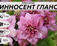 карточка
