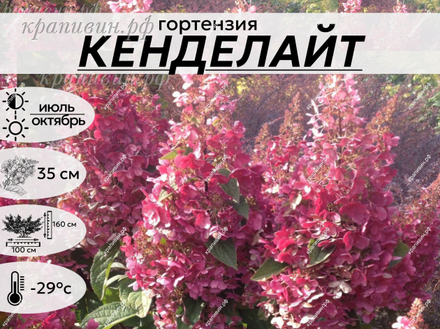 Кенделайт