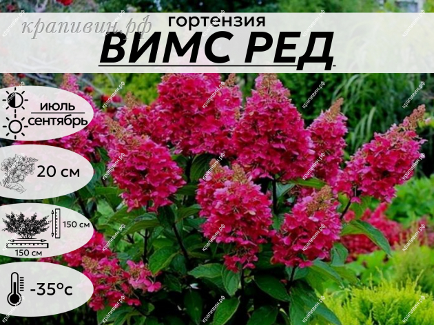 ВИМС РЕД
