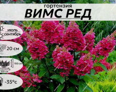 ВИМС РЕД