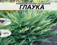 ГЛАУКА