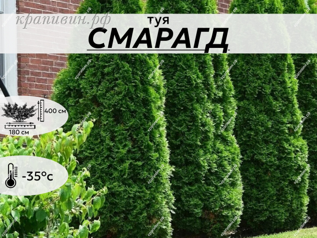 СМАРАГД