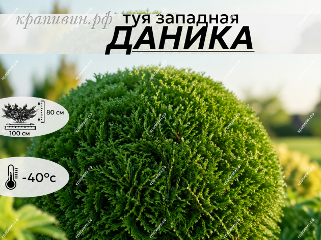 ДАНИКА