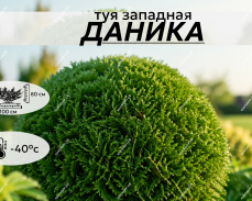 ДАНИКА