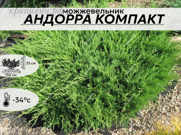 АНДОРРА КОМПАК