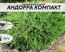 АНДОРРА КОМПАК
