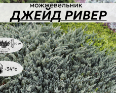 ДЖЕЙД РИВЕР