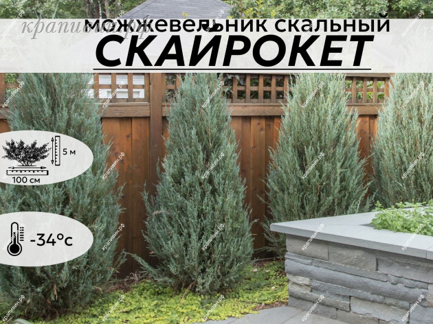 СКАЙРОКЕТ