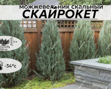 СКАЙРОКЕТ