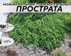 ПРОСТРАТА