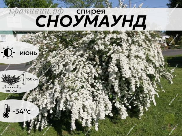 СНОУМАУНТ