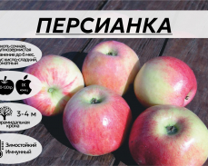 персианка