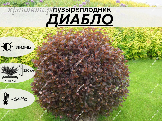 ДИАБЛО