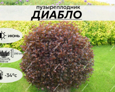 ДИАБЛО
