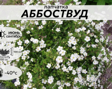 АББОСТВУД